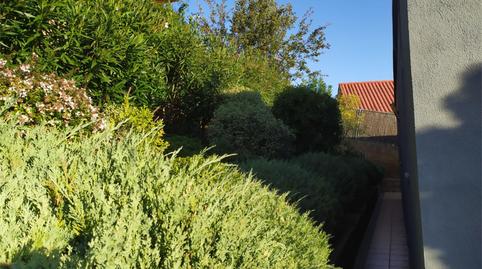 Casa o chalet de alquiler en Avinguda Dels Pins, Corbera de Llobregat, Barcelona - imagen 4 Foto 4 de Casa o chalet de alquiler en Avinguda Dels Pins, Corbera de Llobregat, Barcelona