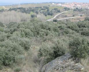 Land for sale in Pereña de la Ribera