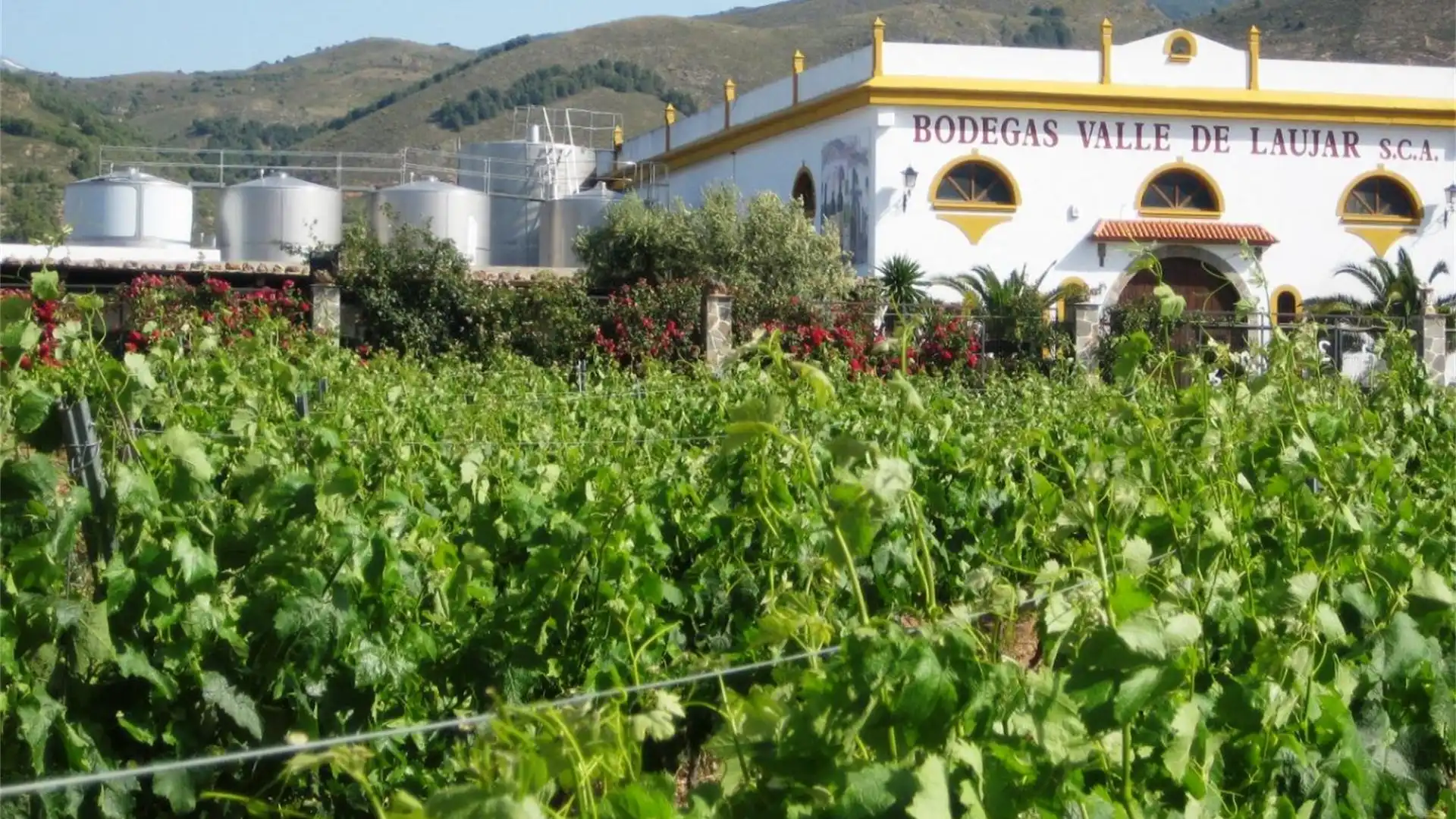 Nave industrial en venta en AL-5402, Laujar de Andarax Vista exterior de Nave industrial en venta en Laujar de Andarax