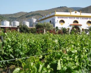 Exterior view of Industrial buildings for sale in Laujar de Andarax