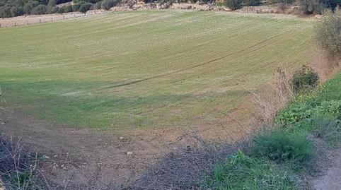 Foto 4 de Urbanizable en venta en Sineu, Illes Balears