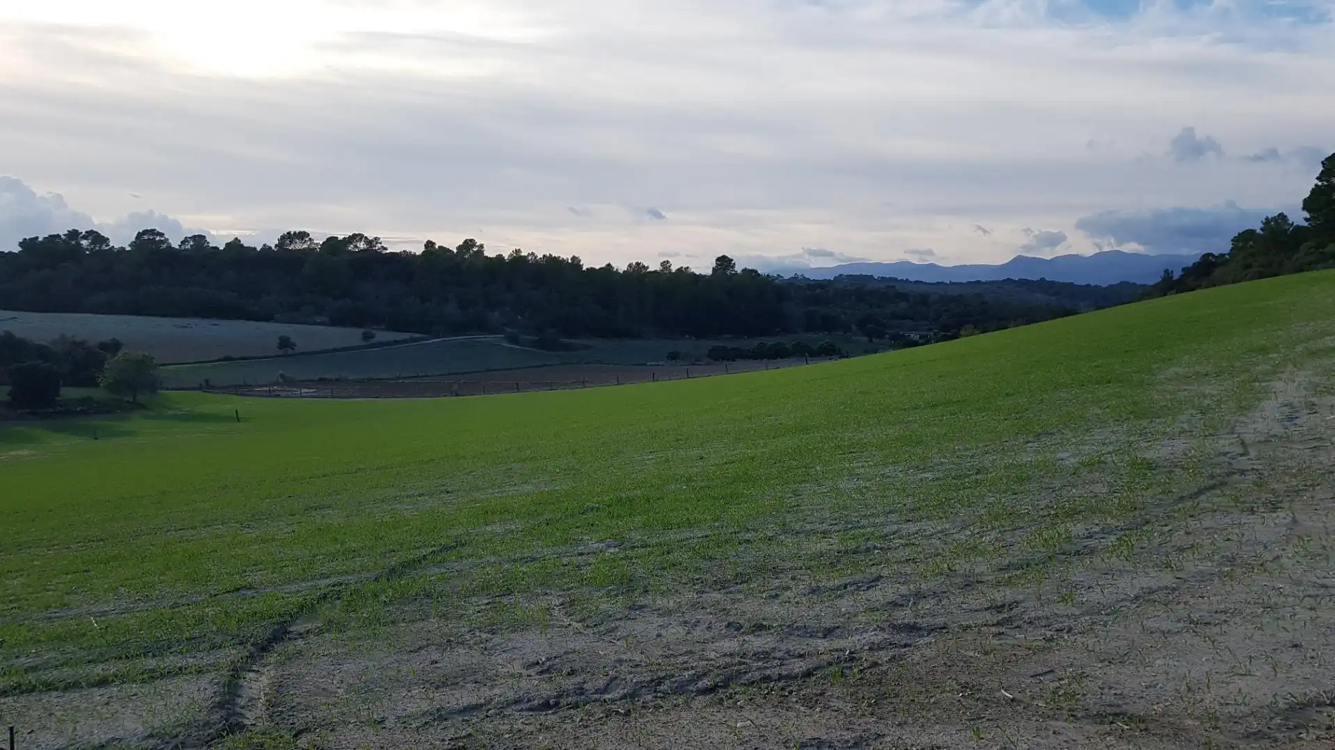 Exterior view of Constructible Land for sale in Sineu