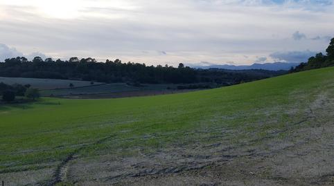 Foto 3 de Urbanizable en venta en Sineu, Illes Balears