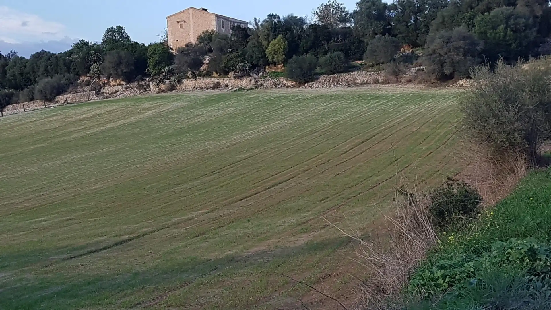 Constructible Land for sale in Sineu