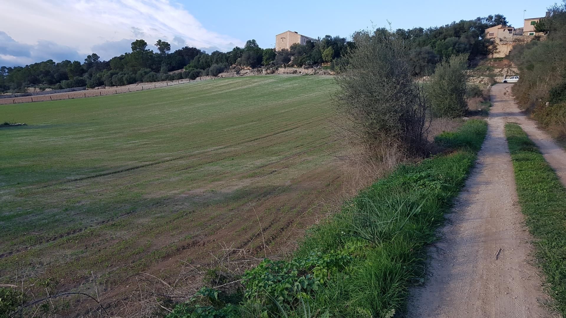 Vista exterior de Urbanitzable en venda en Sineu