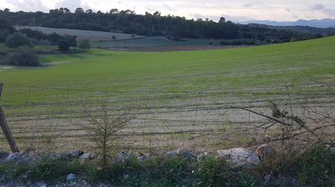 Foto 5 de Urbanizable en venta en Sineu, Illes Balears