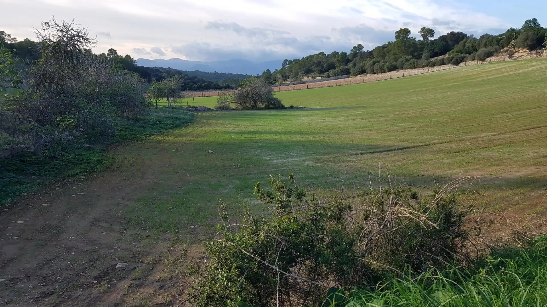 Exterior view of Constructible Land for sale in Sineu