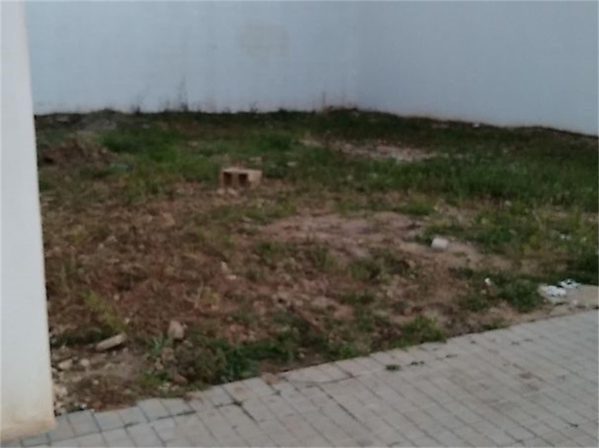 Land for sale in Benimodo