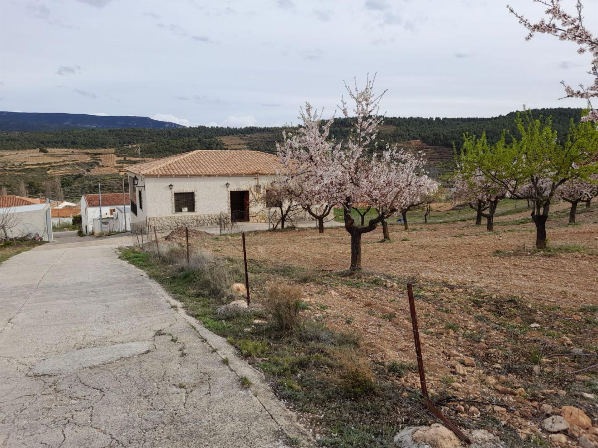 Casa o xalet en venda en Nerpio amb Terrassa i Balcó