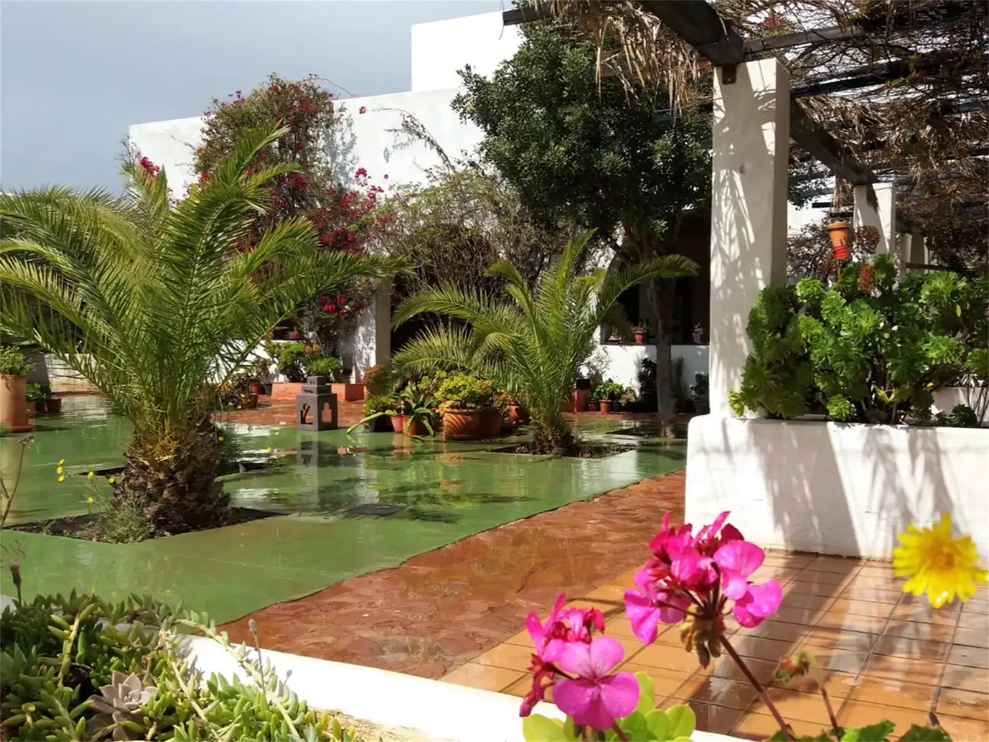 Finca rústica en venda a Pozo de los Frailes - Presillas - Albaricoques Jardí de Finca rústica en venda en Níjar amb Aire condicionat, Terrassa i Piscina