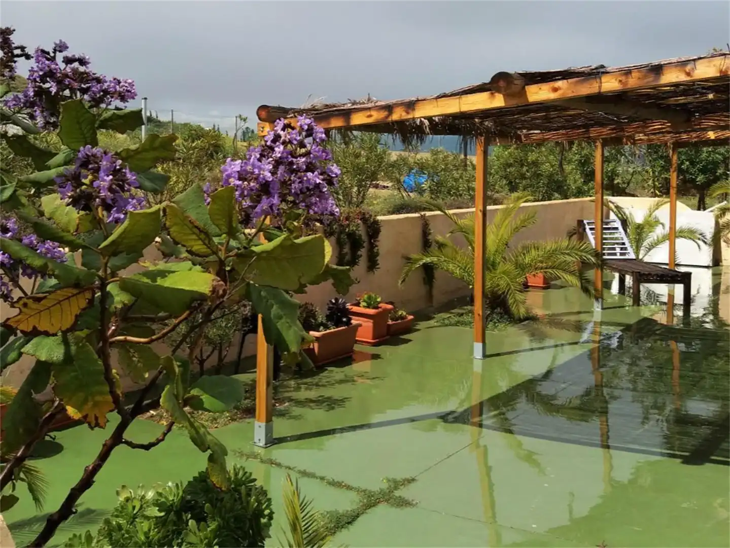 Finca rústica en venda a Pozo de los Frailes - Presillas - Albaricoques Jardí de Finca rústica en venda en Níjar amb Aire condicionat, Terrassa i Piscina