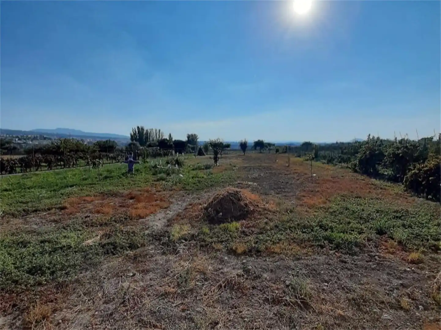 Urbanitzable en venda en Cájar