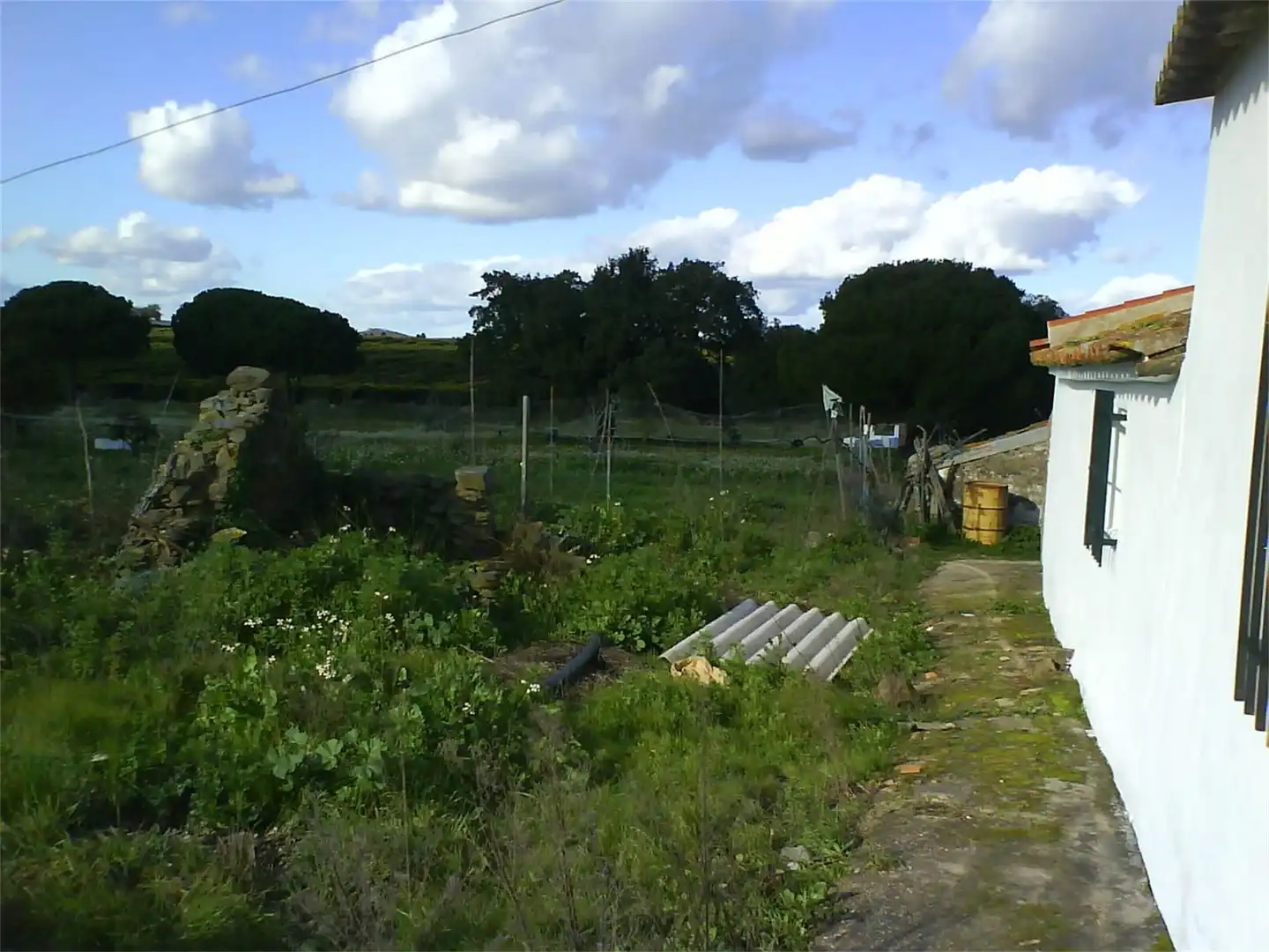 Land for sale in Villanueva de los Castillejos