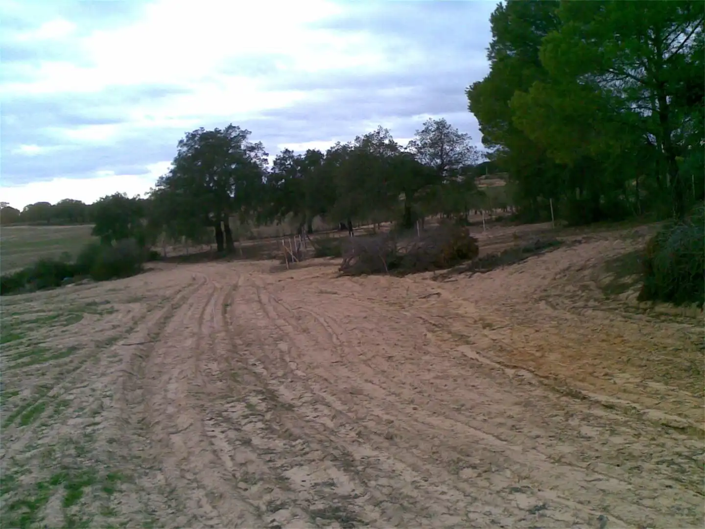 Land for sale in Villanueva de los Castillejos