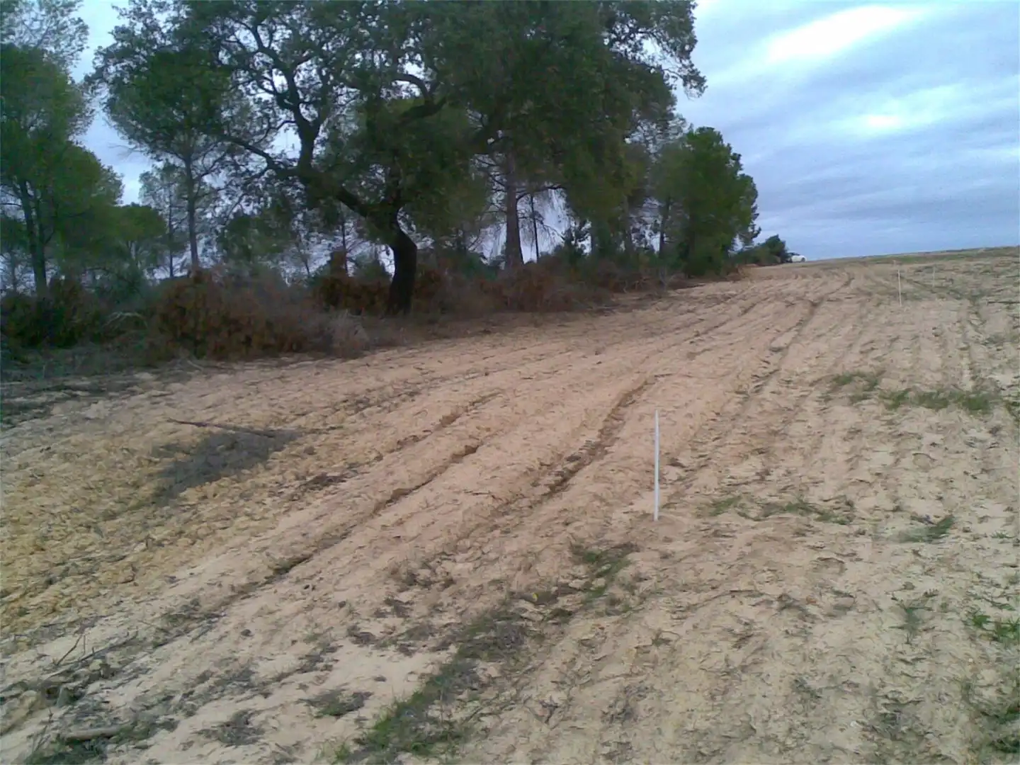 Land for sale in Villanueva de los Castillejos