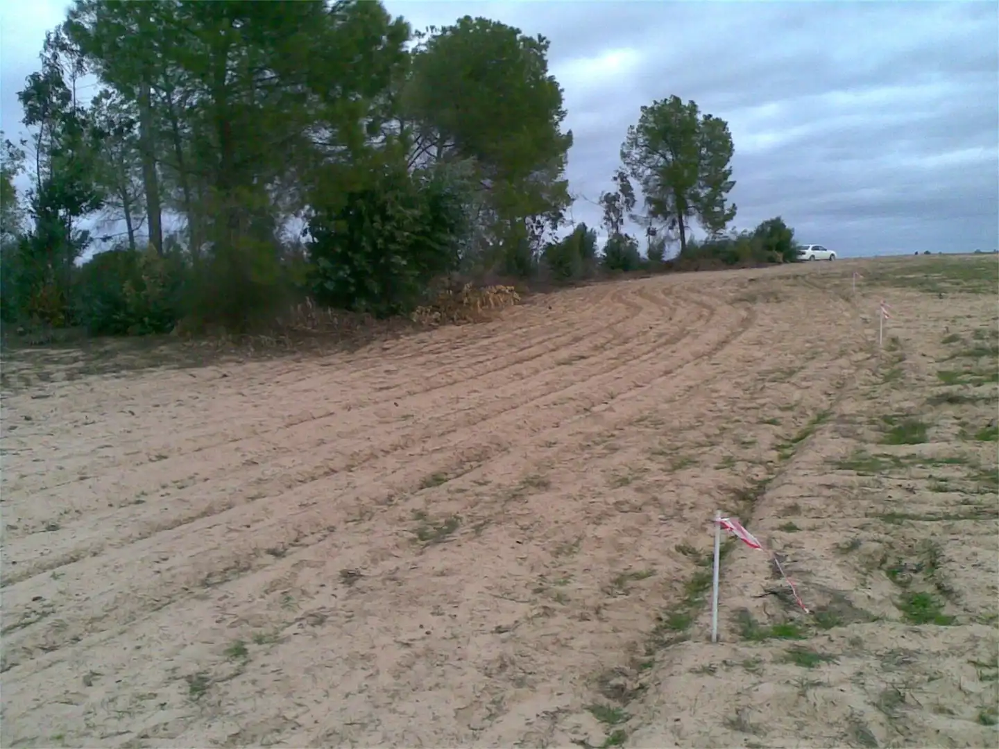 Land for sale in Villanueva de los Castillejos