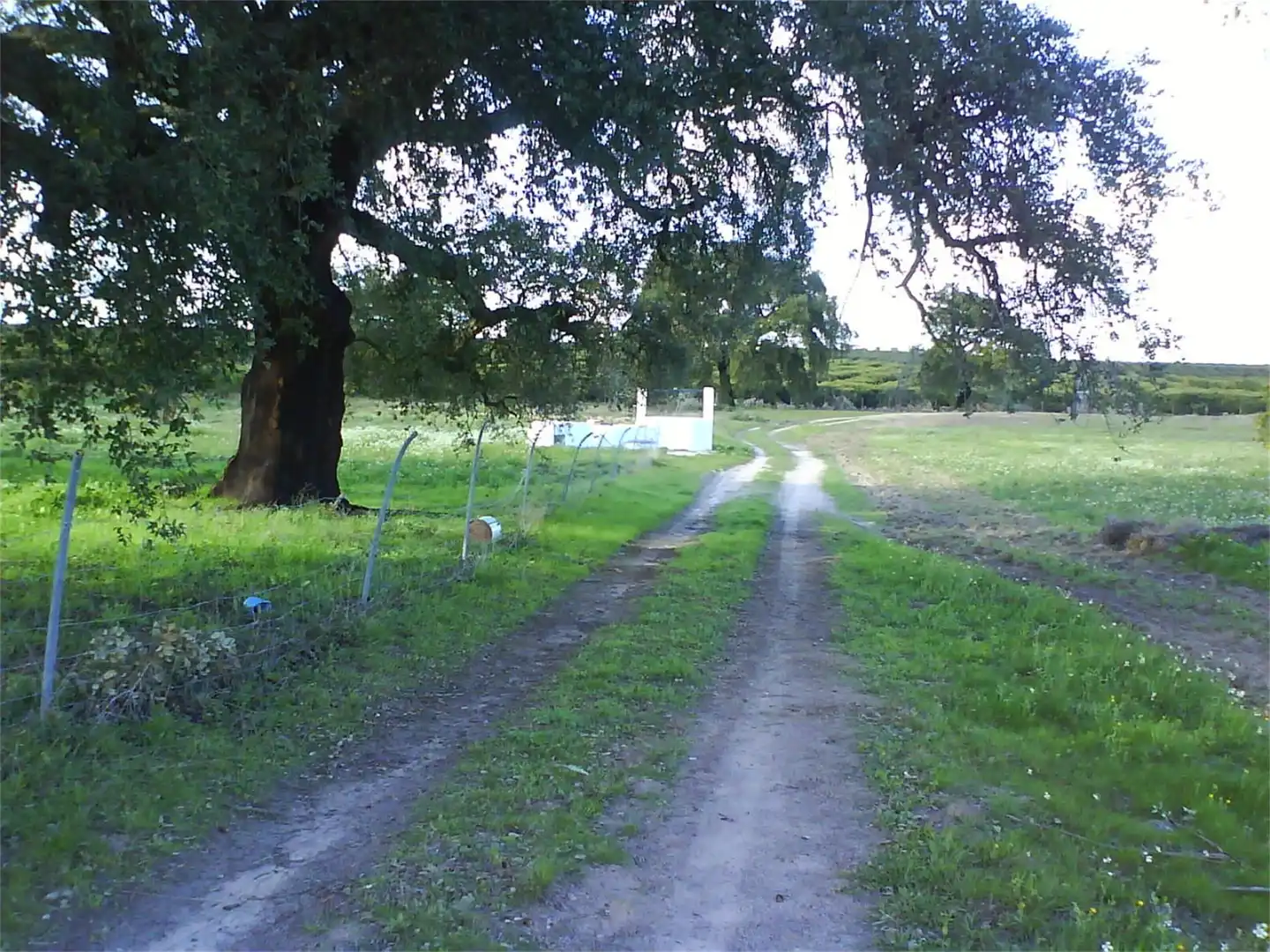Land for sale in Villanueva de los Castillejos