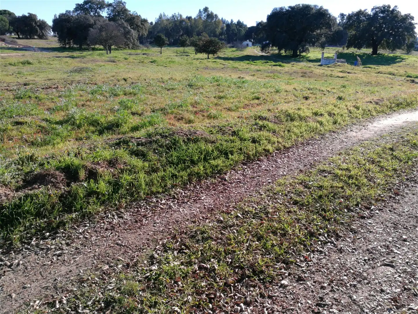 Land for sale in Villanueva de los Castillejos