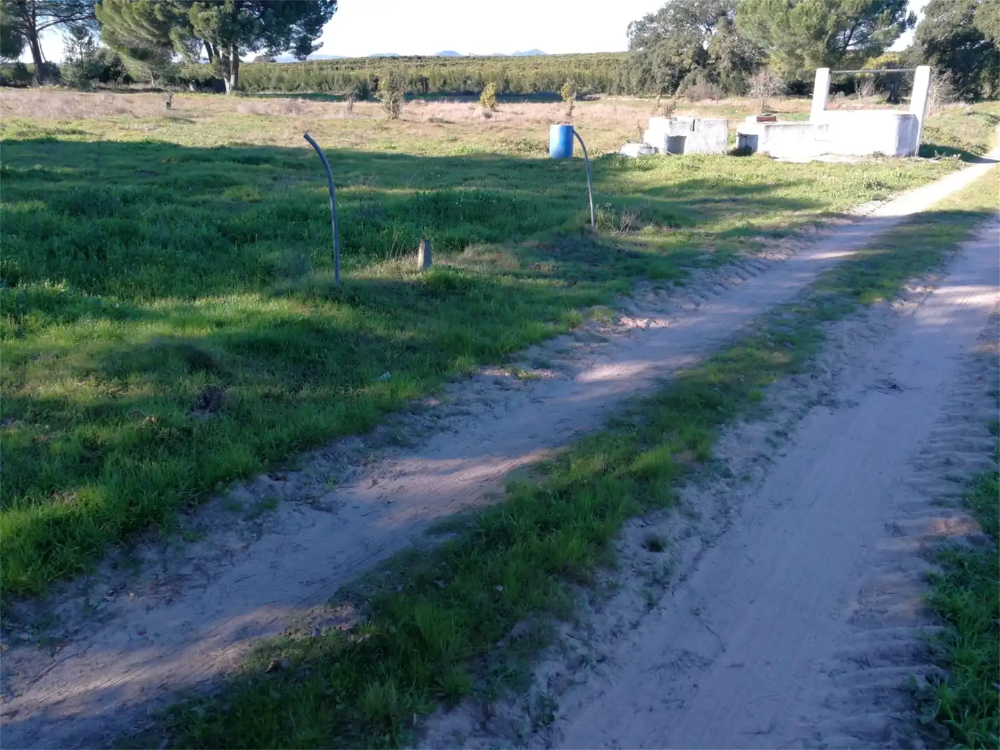 Land for sale in Villanueva de los Castillejos