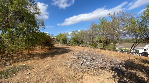 Foto 2 de Terreno en venta en Carrer Tordera, 19, Piera, Barcelona