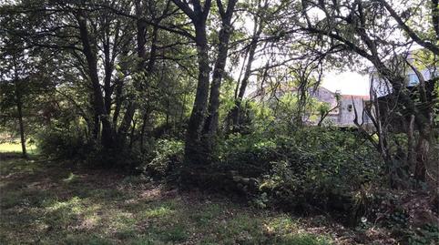 Foto 5 de Finca rústica en venta en A Fontela, 11, Sandiás, Ourense
