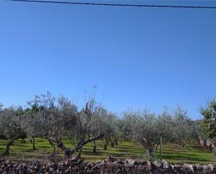 Garden of Non-constructible Land for sale in Higuera la Real