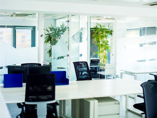 Oficina en Alquiler en Calle Hilera, 14 en Carranque - Haza Cuevas