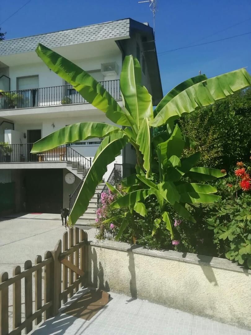 Vista exterior de Casa o xalet en venda en Ourense Capital  amb Jardí privat, Terrassa i Traster