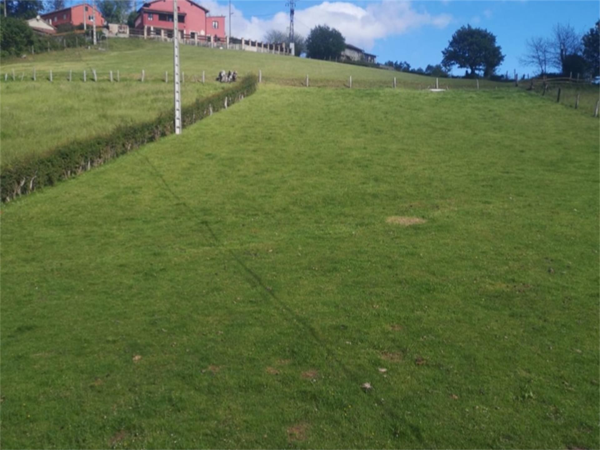 Finca rústica en venda en Langreo amb Calefacció, Jardí privat i Terrassa