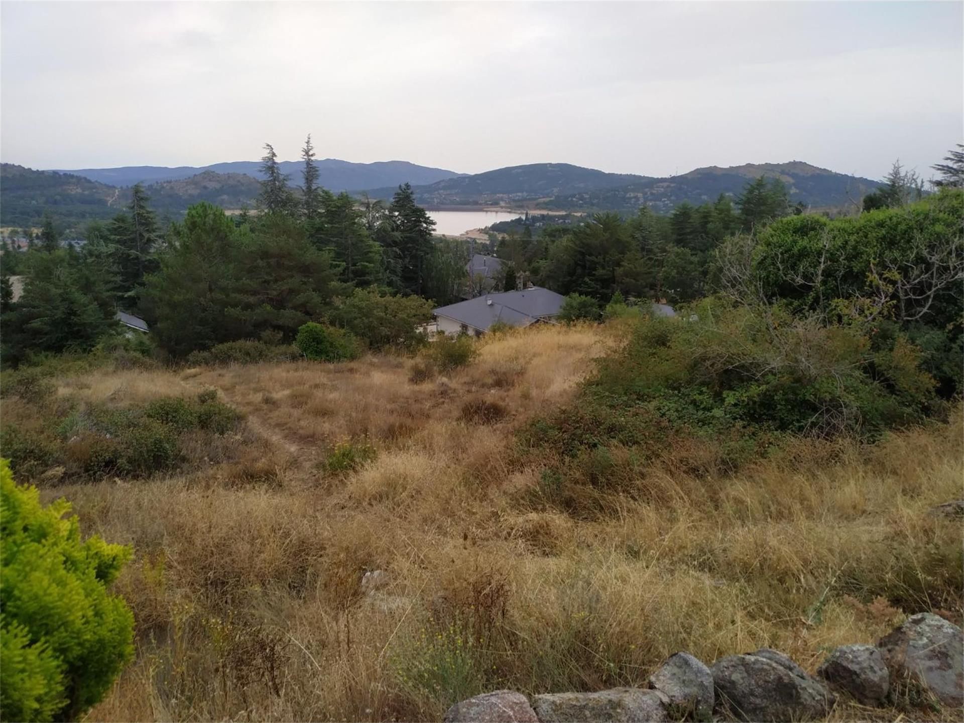 Exterior view of Land for sale in Navacerrada