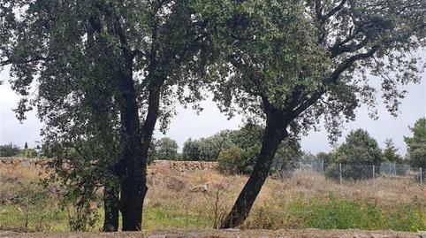 Photo 5 of Land for sale in Calle Jaras, 10, La Navata, Madrid