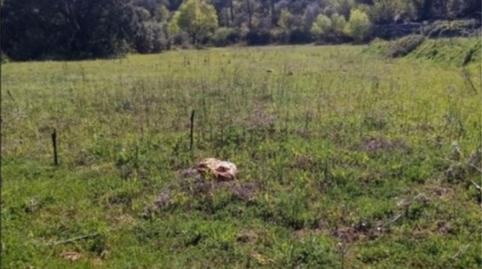 Foto 3 de Urbanitzable en venda a A-12, Yeste, Albacete