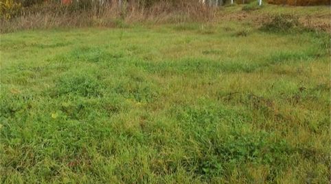 Photo 4 of Land for sale in Ou-0204, Celanova, Ourense