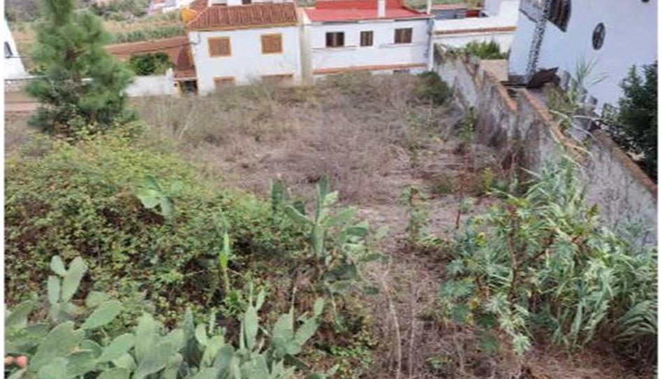 Photo 1 of Constructible Land for sale in Paseo González Díaz, 79, Teror pueblo, Las Palmas