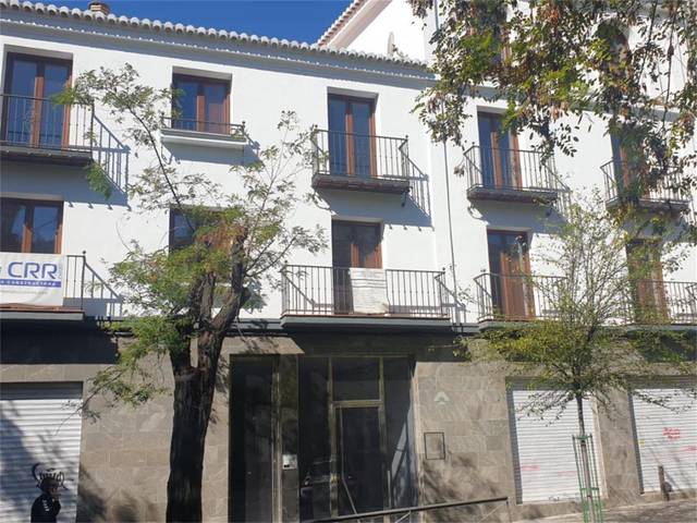 Local comercial en Alquiler en Calle Real de Cartuja, 51 en San Ildefonso