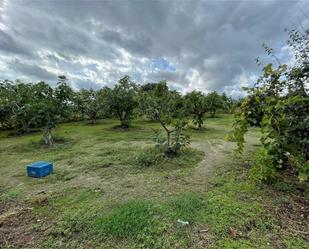 Land for sale in Poyales del Hoyo