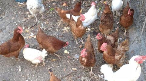 Photo 4 of Land for sale in Centro, Cuenca