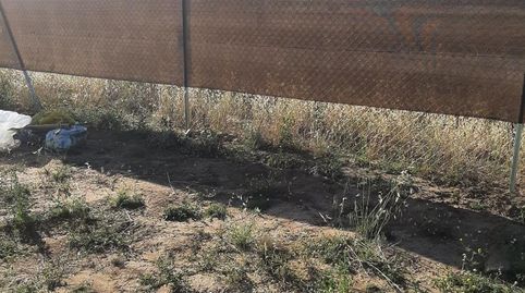 Foto 3 de Terreno en venta en Camino Agudín, 70b, Fuente El Saz de Jarama, Madrid