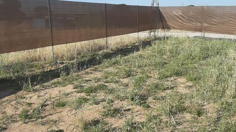 Foto 4 de Terreno en venta en Camino Agudín, 70b, Fuente El Saz de Jarama, Madrid