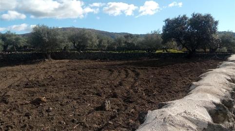 Photo 3 of Constructible Land for sale in Calle Fragua, Oliva de Plasencia, Cáceres