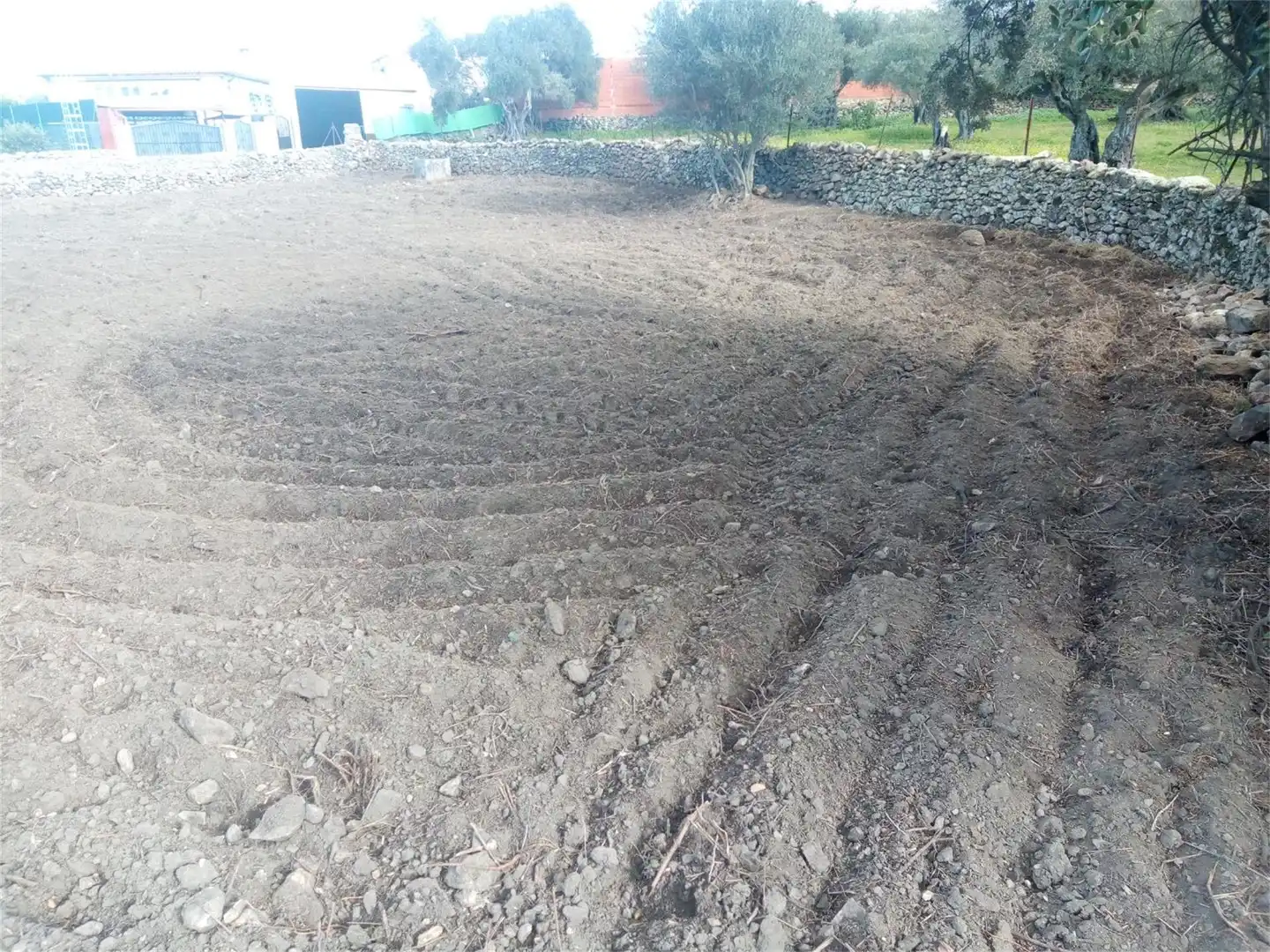Bebaubares Gelände zum Verkauf in Oliva de Plasencia