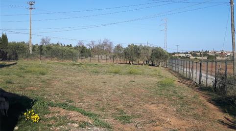 Foto 5 de Finca rústica en venda a Camí de la Torre Vilanera, Eixample Residencial, Girona
