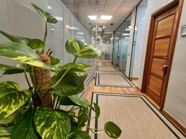 Oficina en Alquiler en Calle Cádiz, 28 en Zona Centro - Ayuntamiento