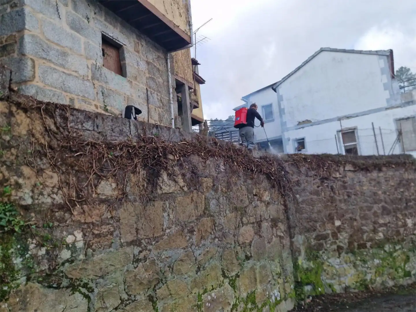Flat for sale in A Veiga, 12, Carballeda de Avia Exterior view of Flat for sale in Carballeda de Avia with Private garden and Balcony