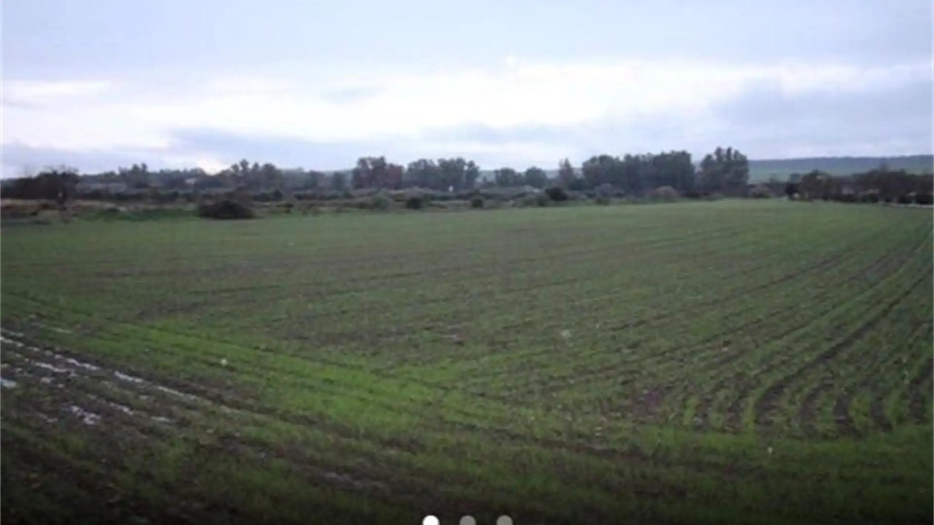 Land for sale in Aljucén