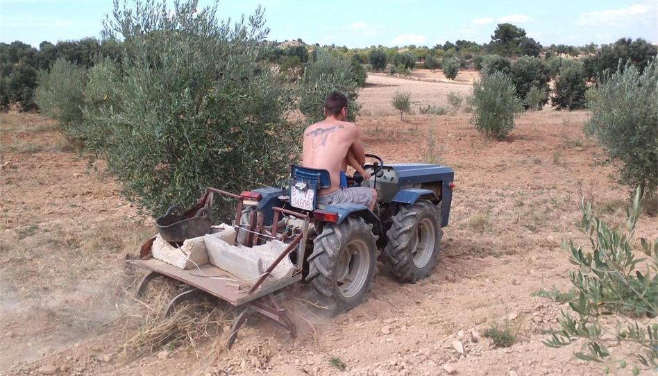 Terreny en venda a Polígono 10, Andorra (Teruel), Teruel - imatge 1 Foto 1 de Terreny en venda a Polígono 10, Andorra (Teruel), Teruel