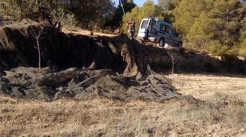 Terreny en venda a Polígono 10, Andorra (Teruel), Teruel - imatge 2 Foto 2 de Terreny en venda a Polígono 10, Andorra (Teruel), Teruel