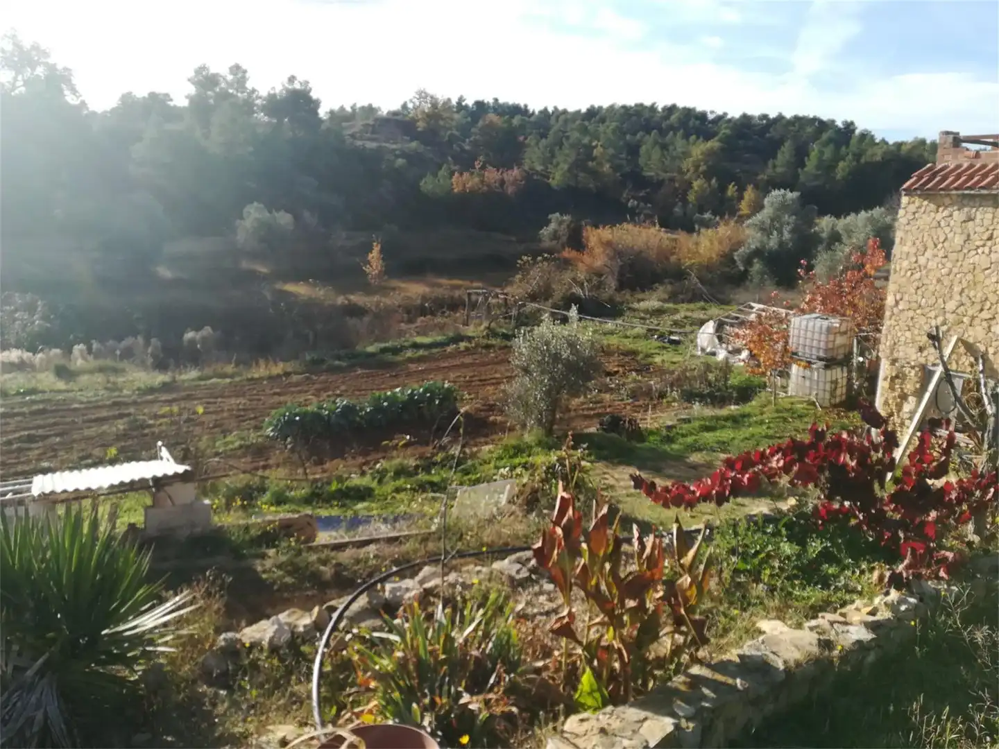 Terreno en venta en Polígono 10, Andorra (Teruel) Terreno en venta en Andorra (Teruel)
