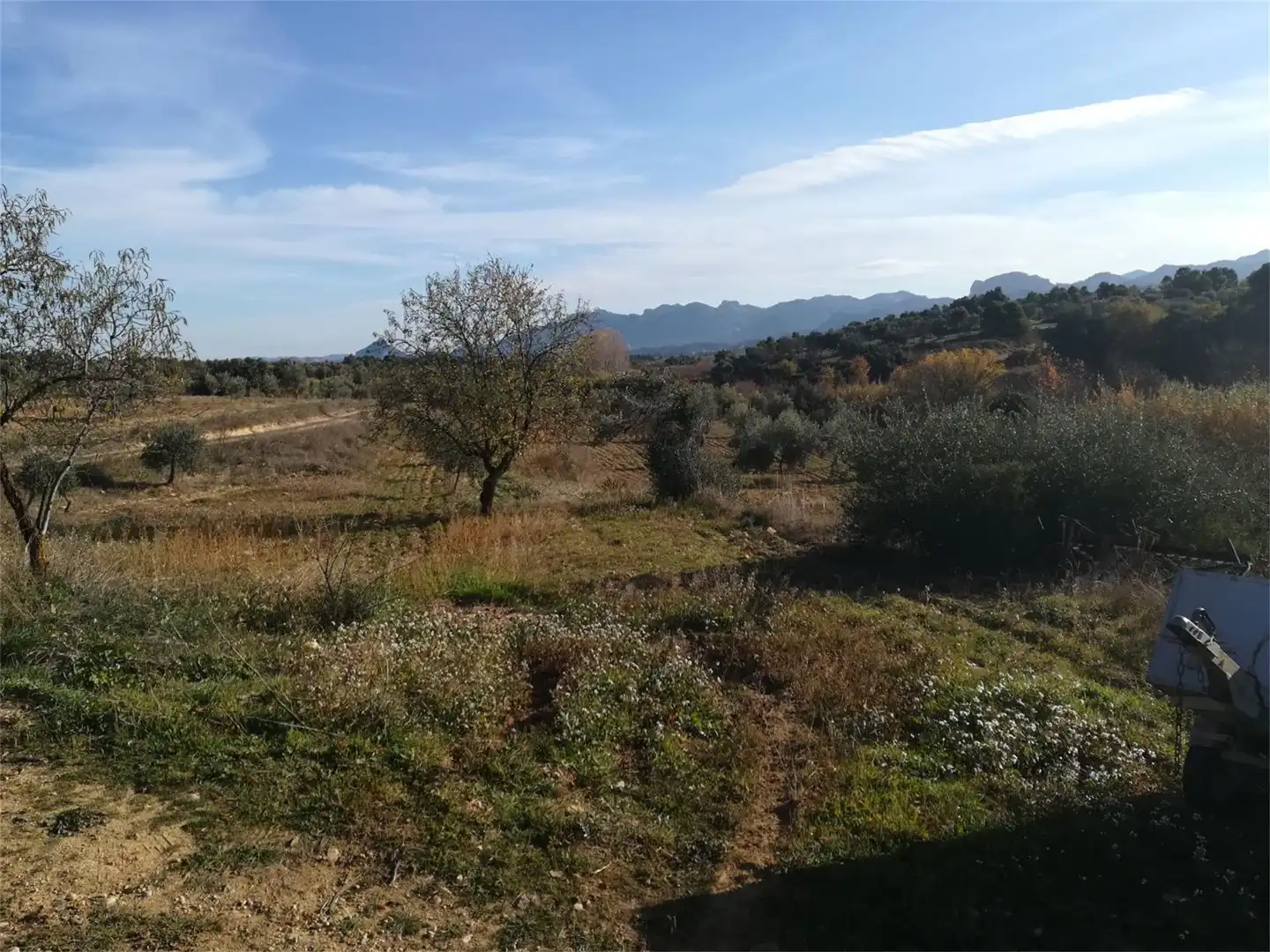 Terreno en venta en Polígono 10, Andorra (Teruel) Terreno en venta en Andorra (Teruel)