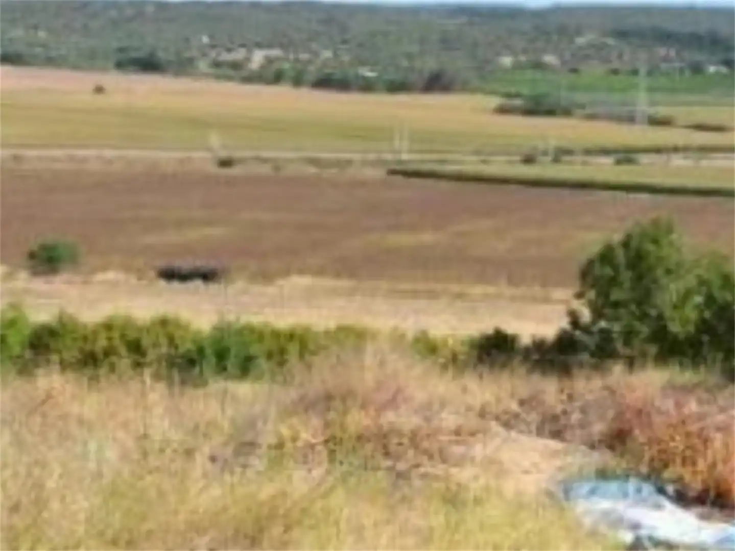 Finca rústica en venta en Peñaflor Finca rústica en venta en Peñaflor